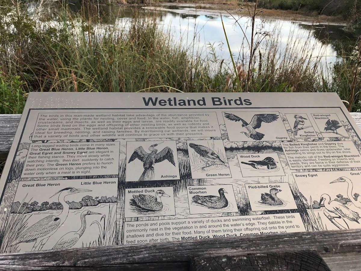 Stoneybrook Nature Trail