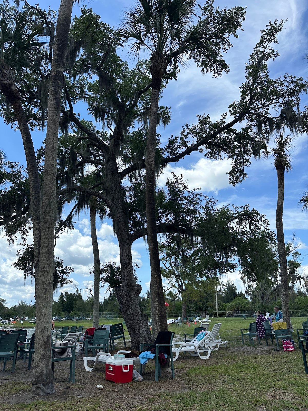 Warm Mineral Springs