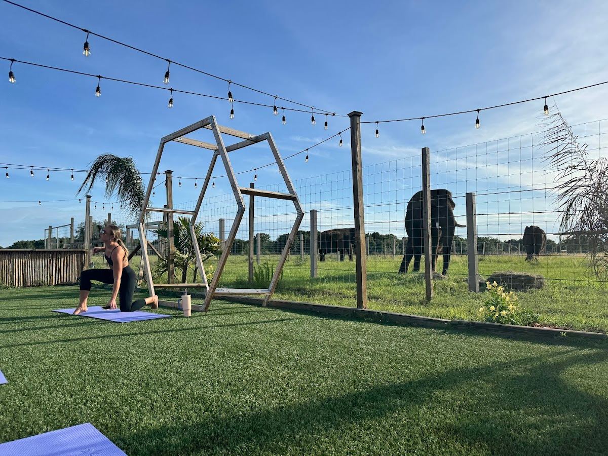 WILDCORE Yoga