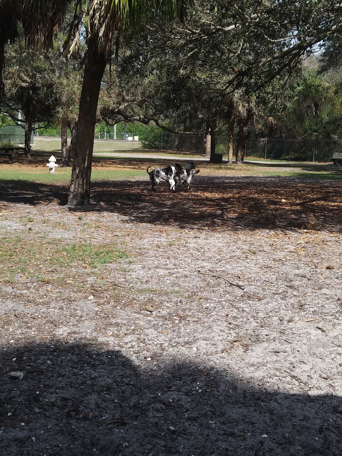 Woodmere Dog Park