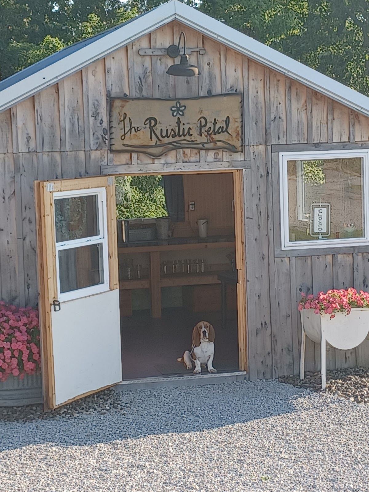 The Rustic Petal