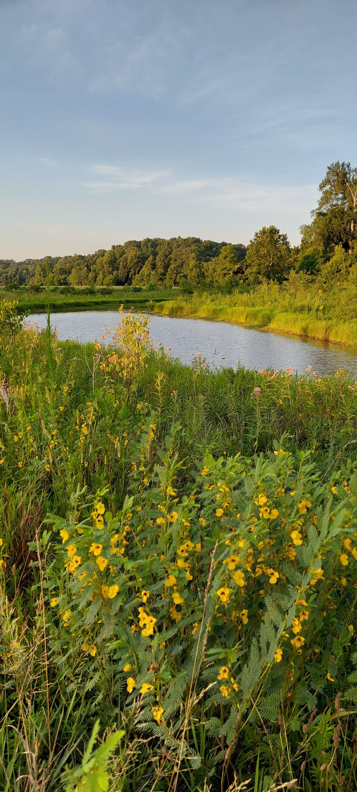 Admiral Trost Park
