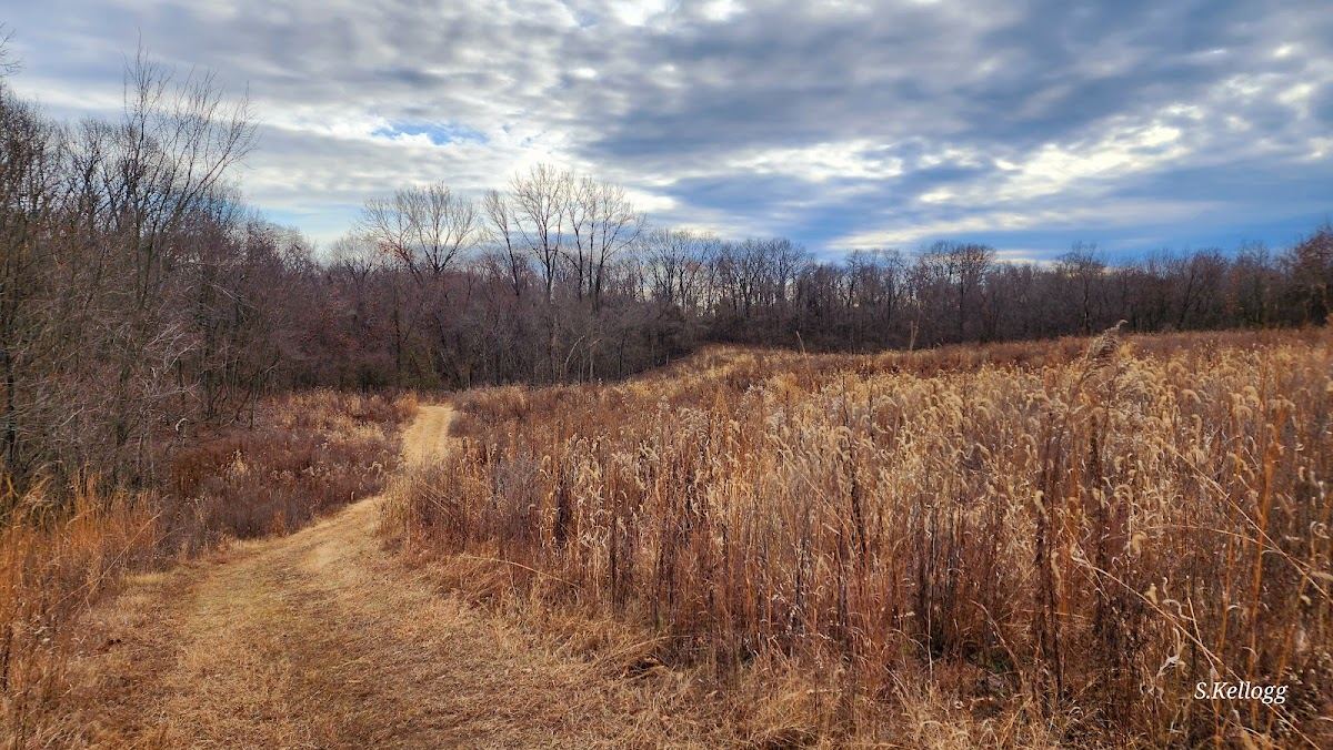 Stemler Cave Woods Nature Preserve
