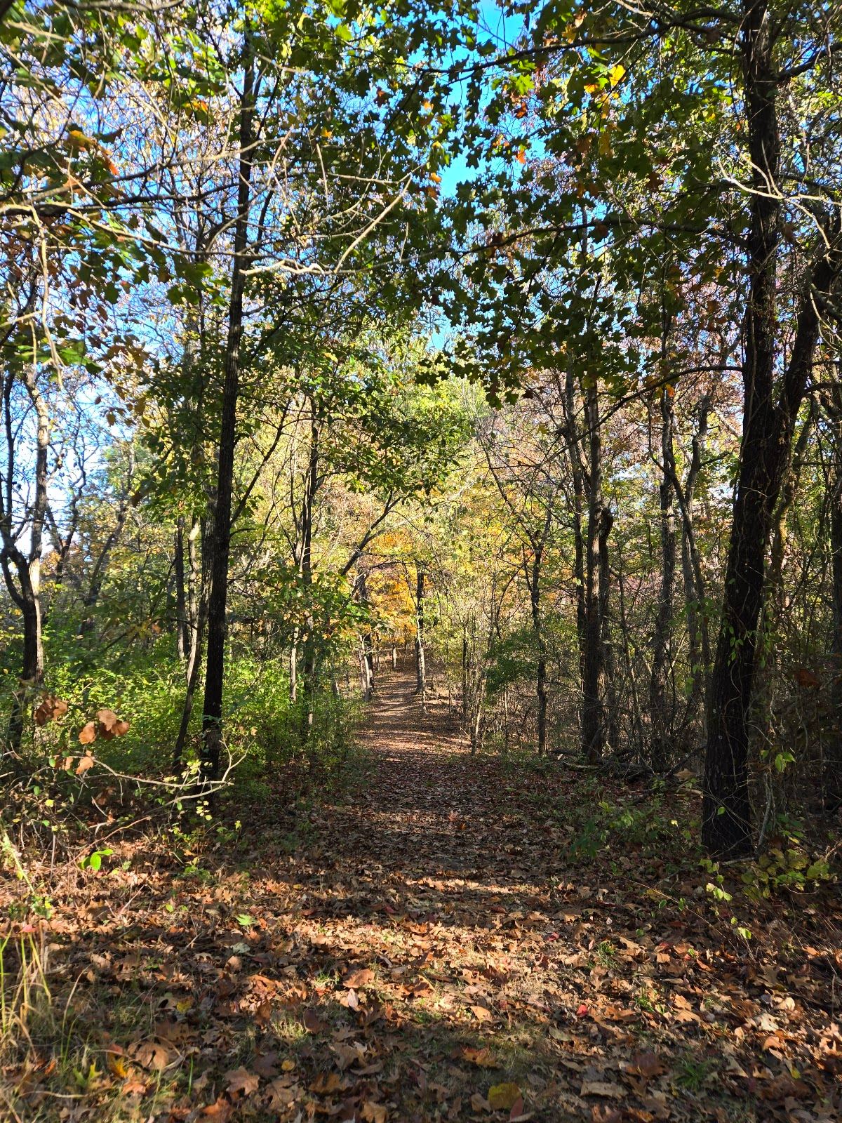 Stemler Cave Woods Preserve Trails
