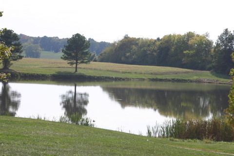 Waterloo Park District