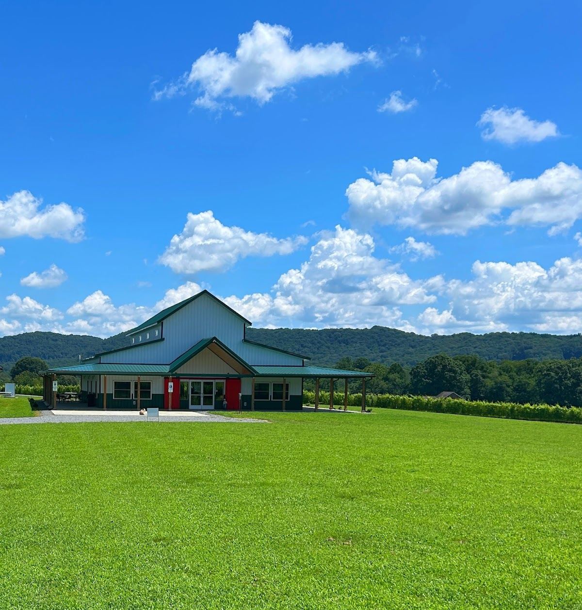 Castello Barone Vineyards and Winery