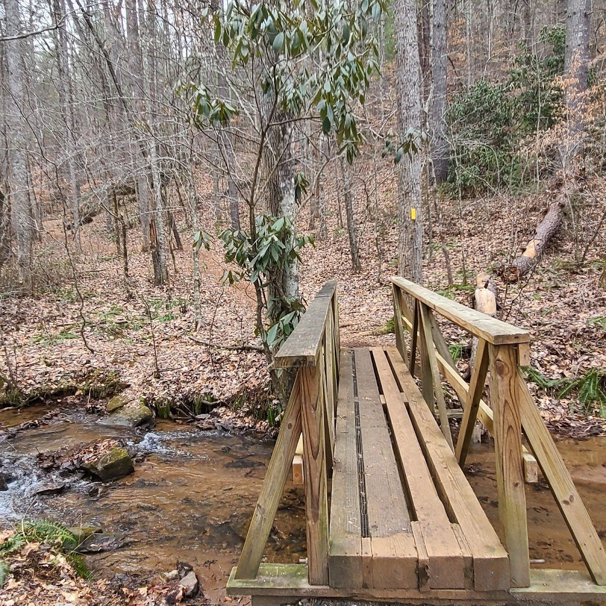 Bartram Trail: Wallace Branch to William's Pulpit