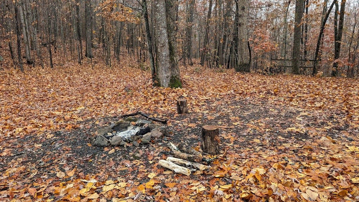 Beasley Knob Camp Site 2