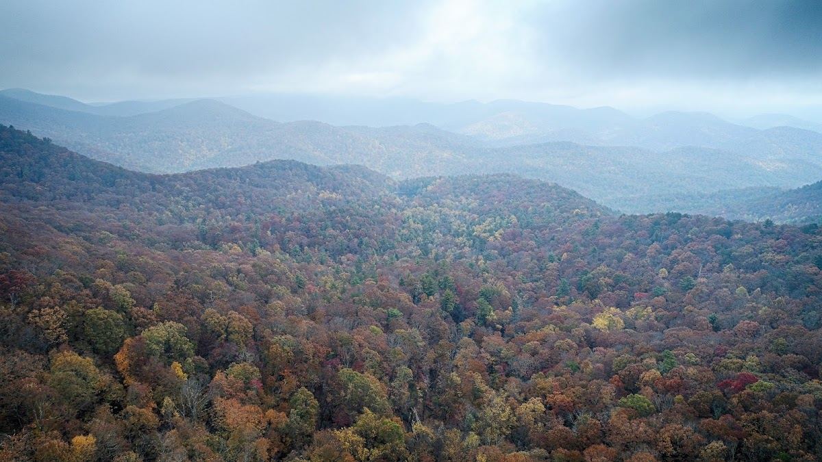 Chestatee Overlook