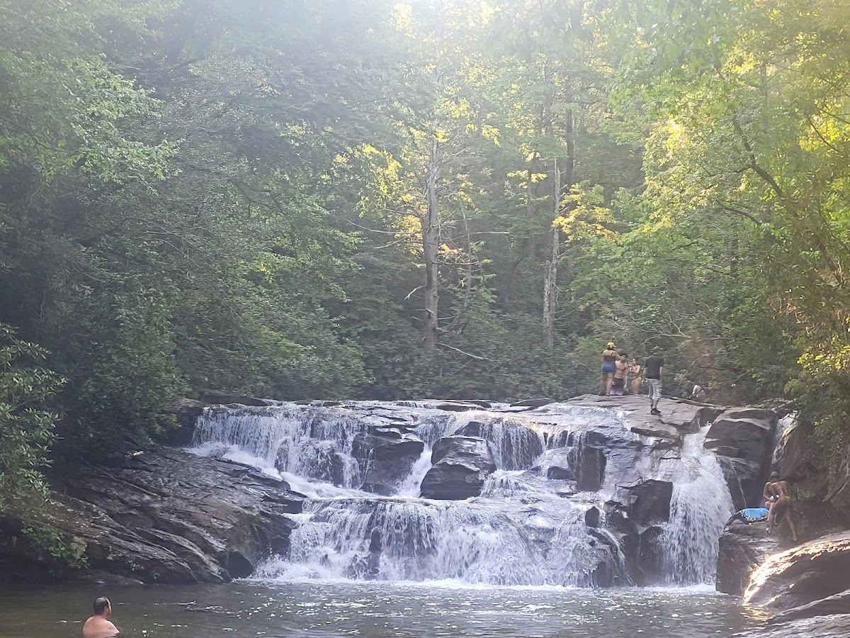 Chestatee Wildlife Management Area
