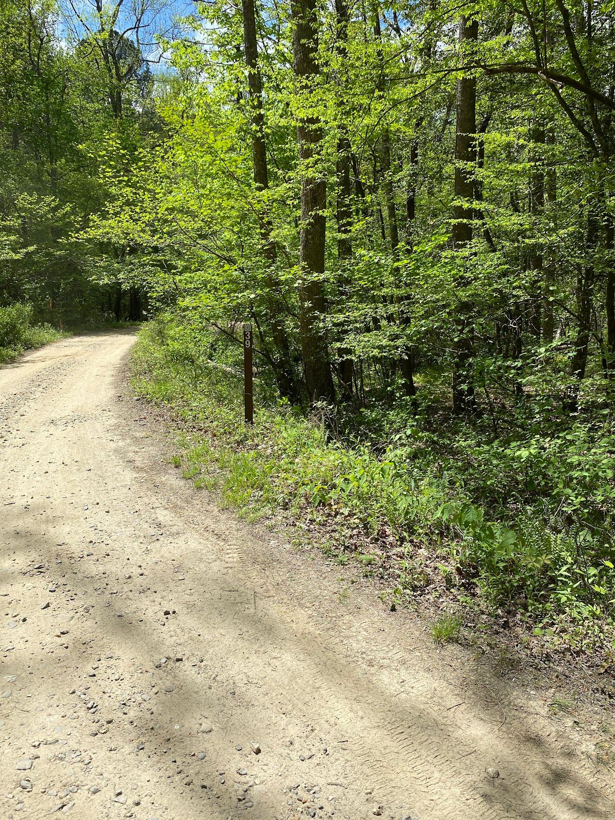 Coopers Creek Wildlife Management Area