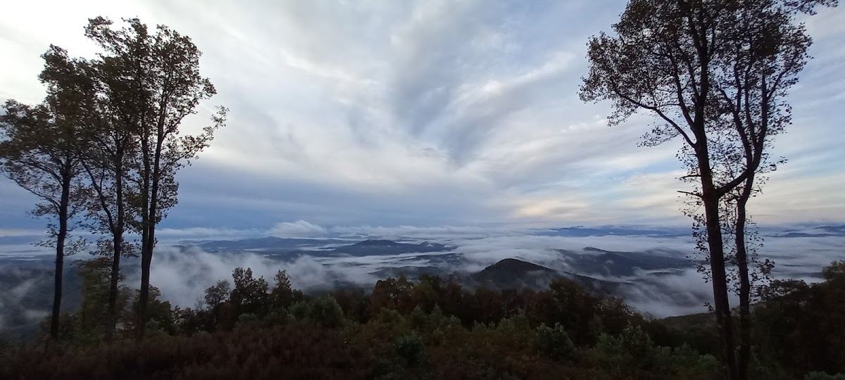 US Forest Service