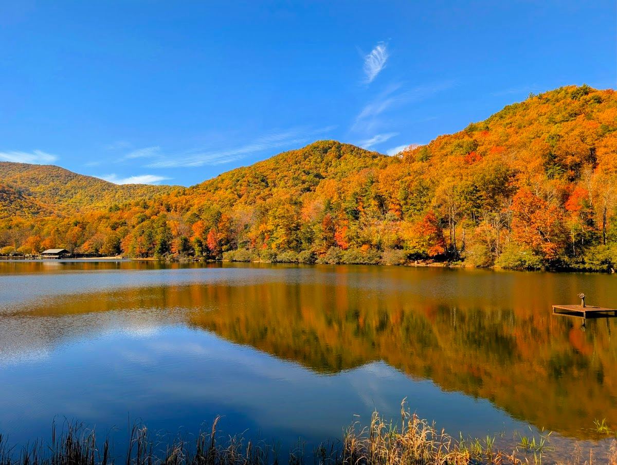 Vogel State Park