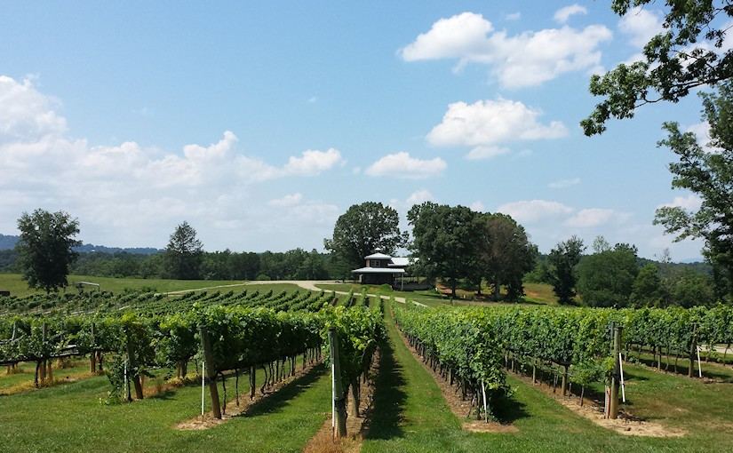 Nottely River Valley Vineyards, LLC