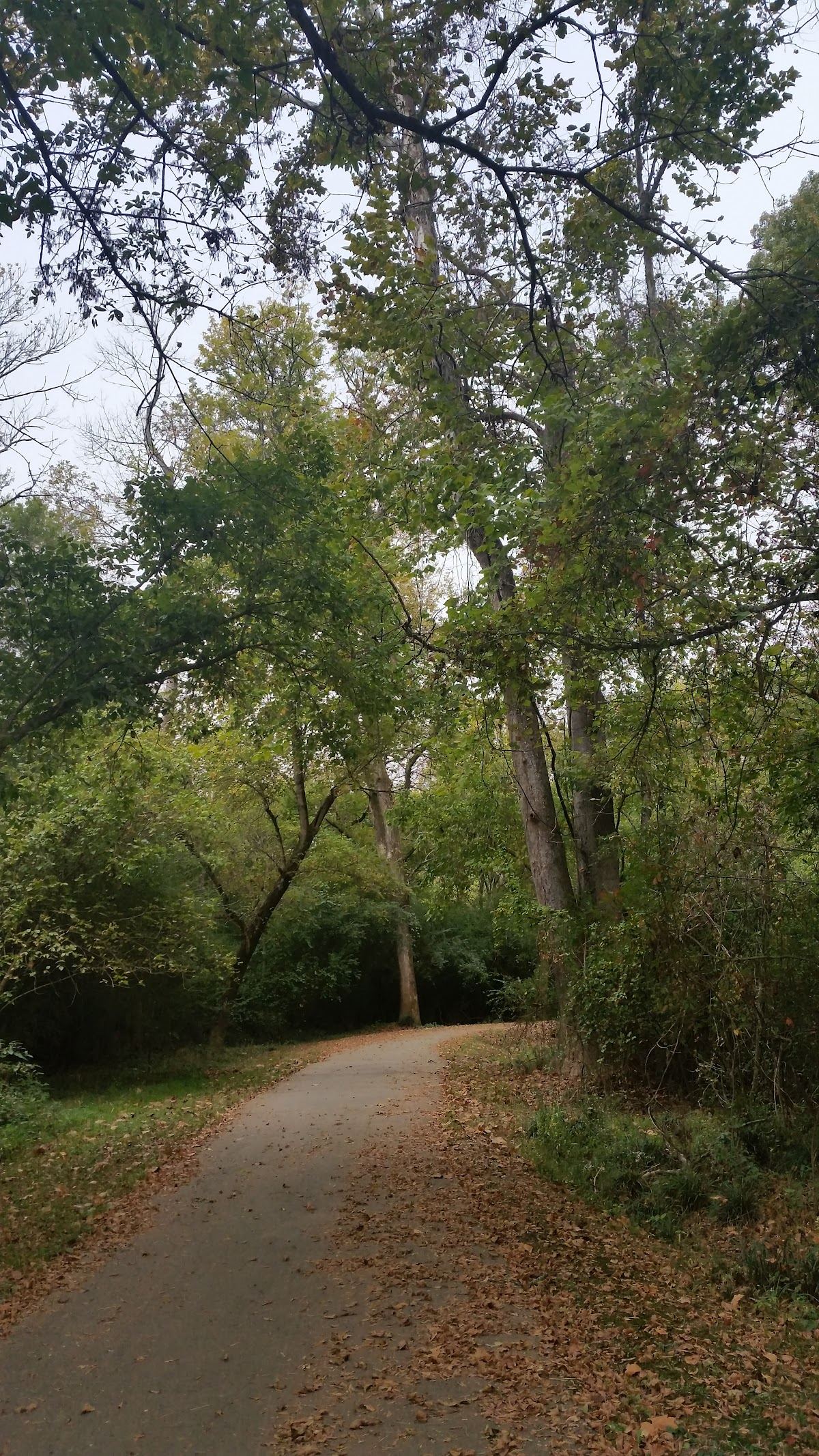 Apollo Heights Park