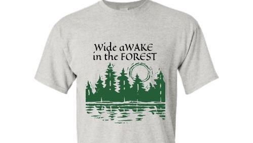 Awake in the Forest