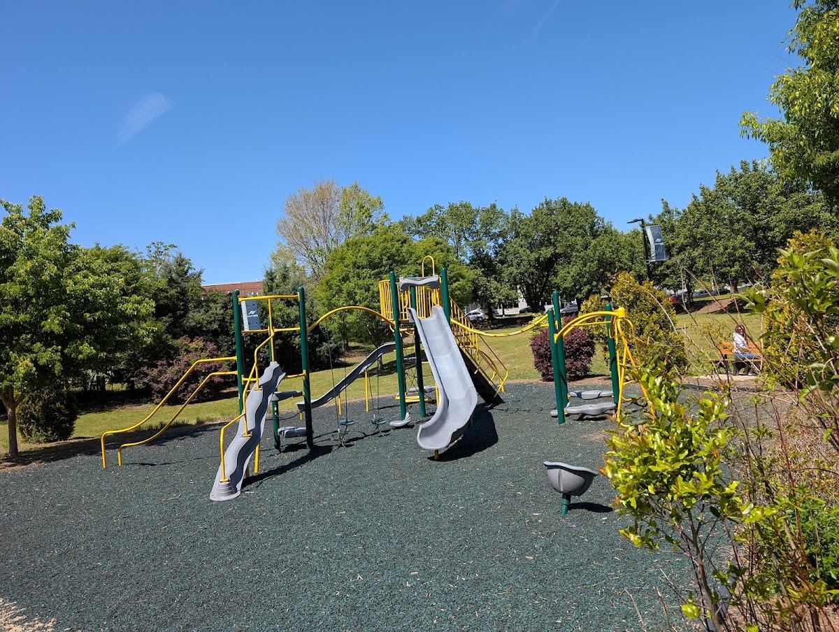 Falcon Park