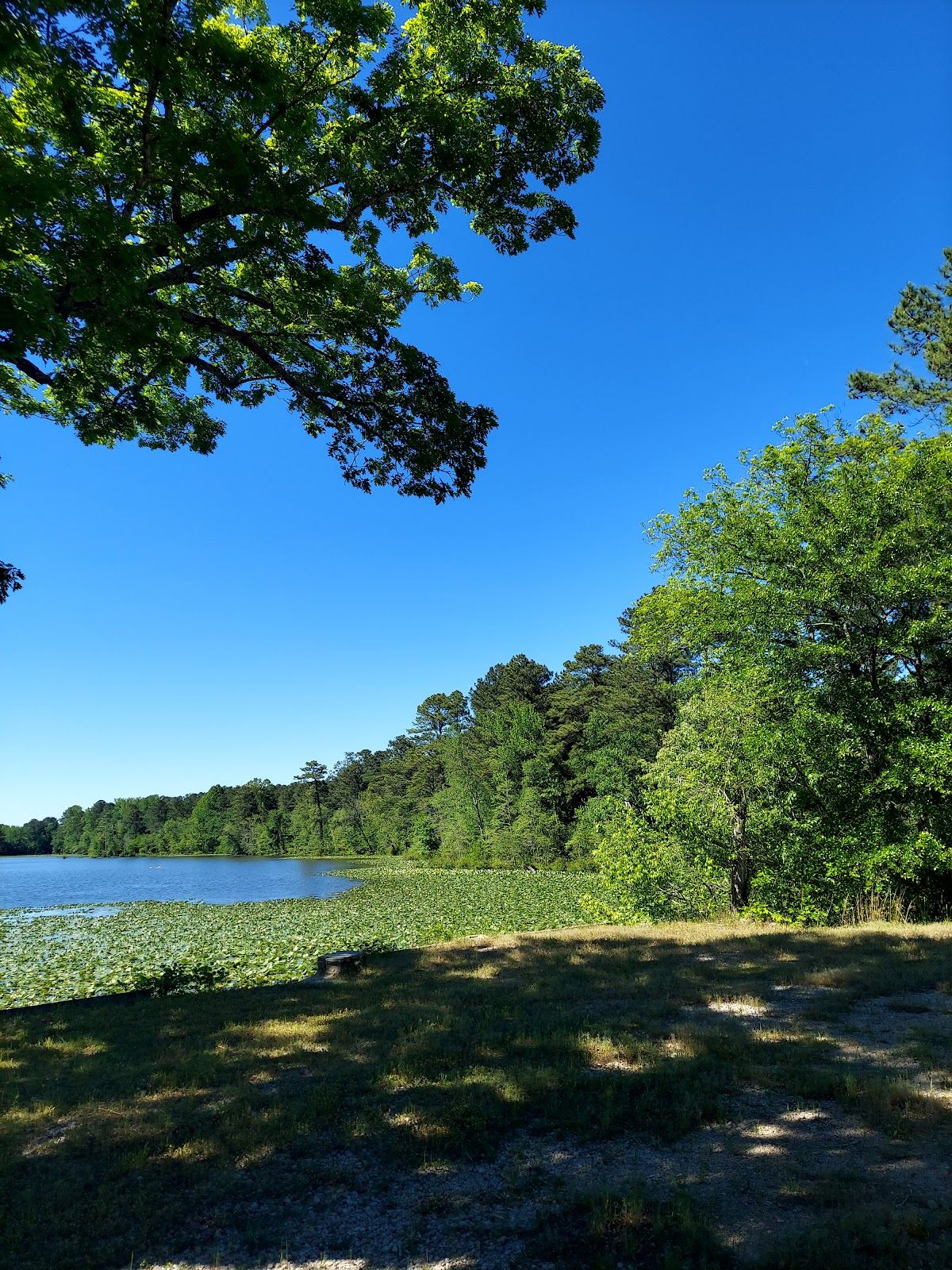 Lake Myra Store
