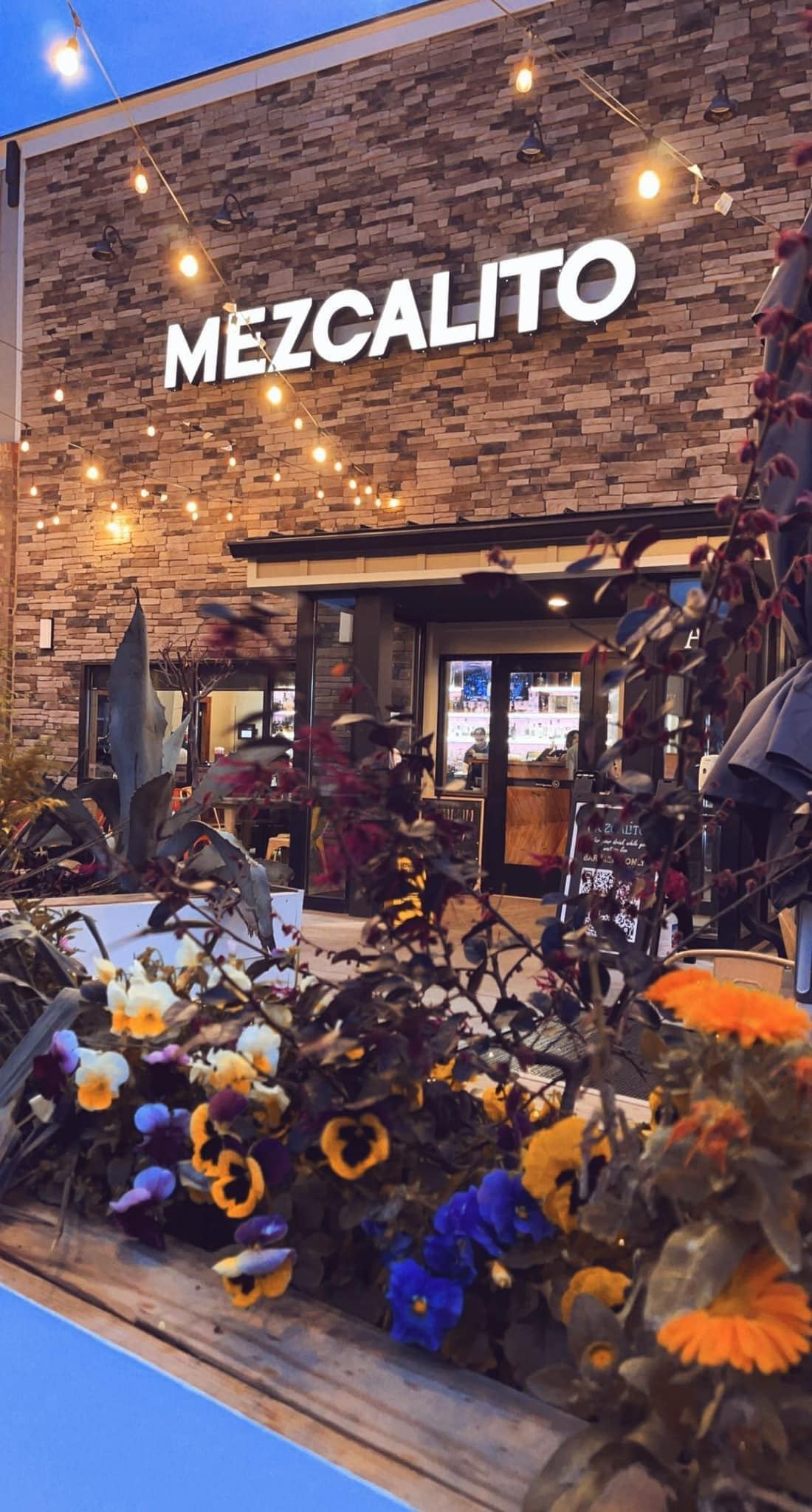MEZCALITO CLAYTON INC
