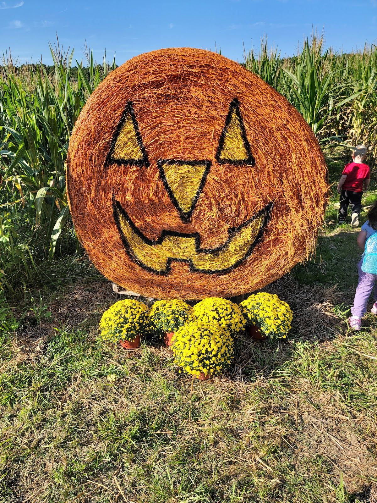 My 2 Girls Corn Maze