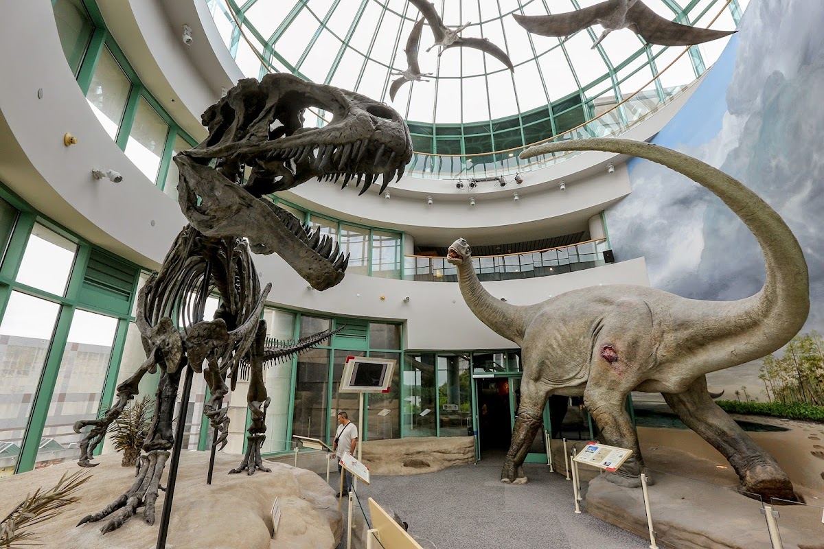 North Carolina Museum of Natural Sciences