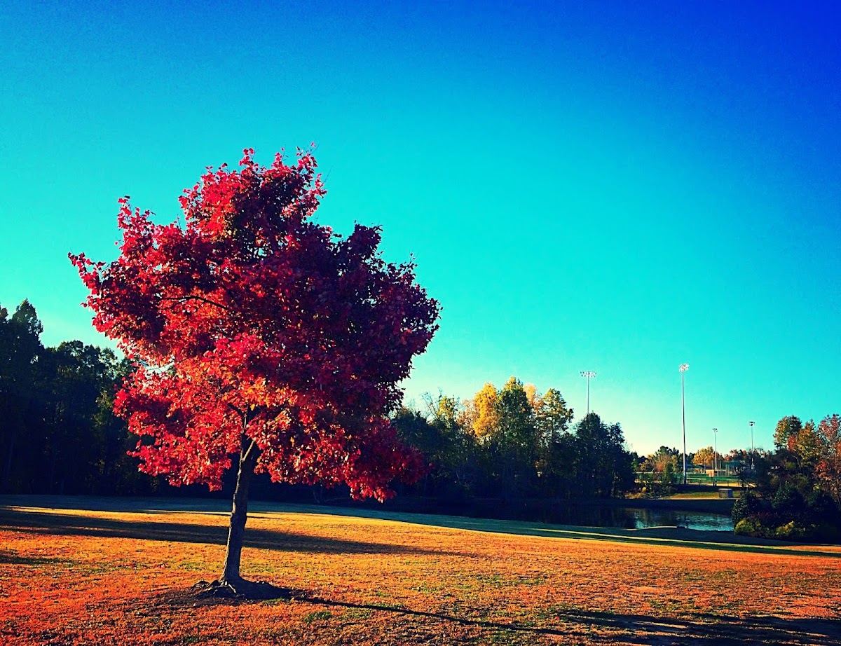 Parrish Womble Park