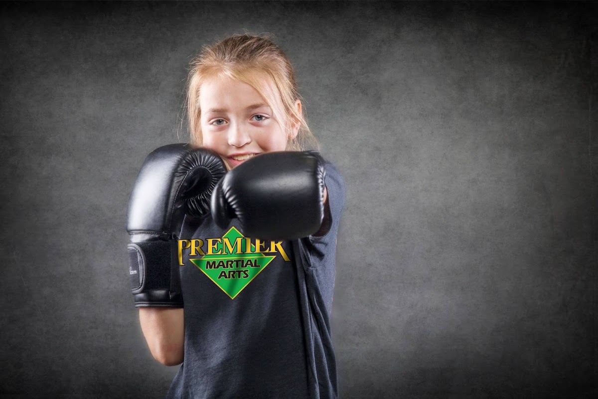Premier Martial Arts, Holly Springs