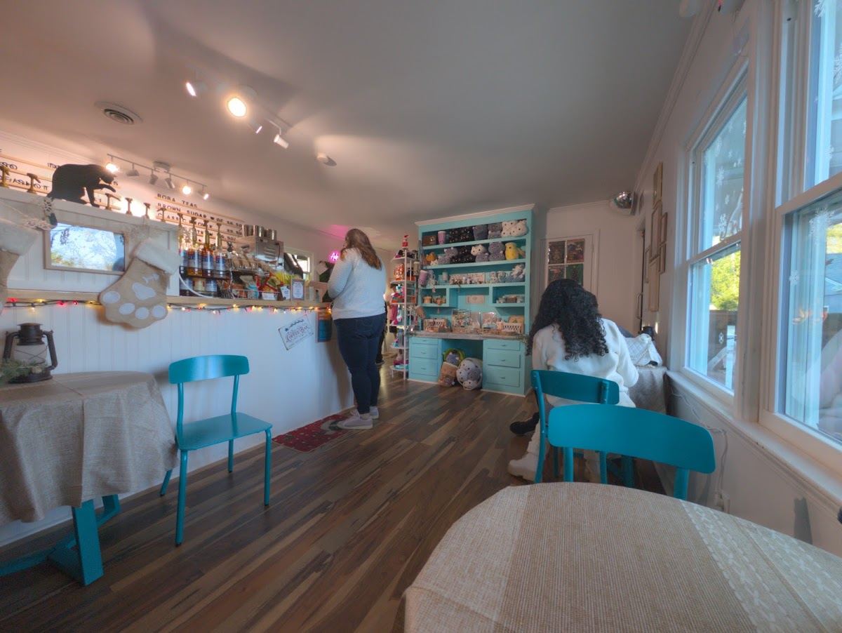 Right Meow Cat Cafe