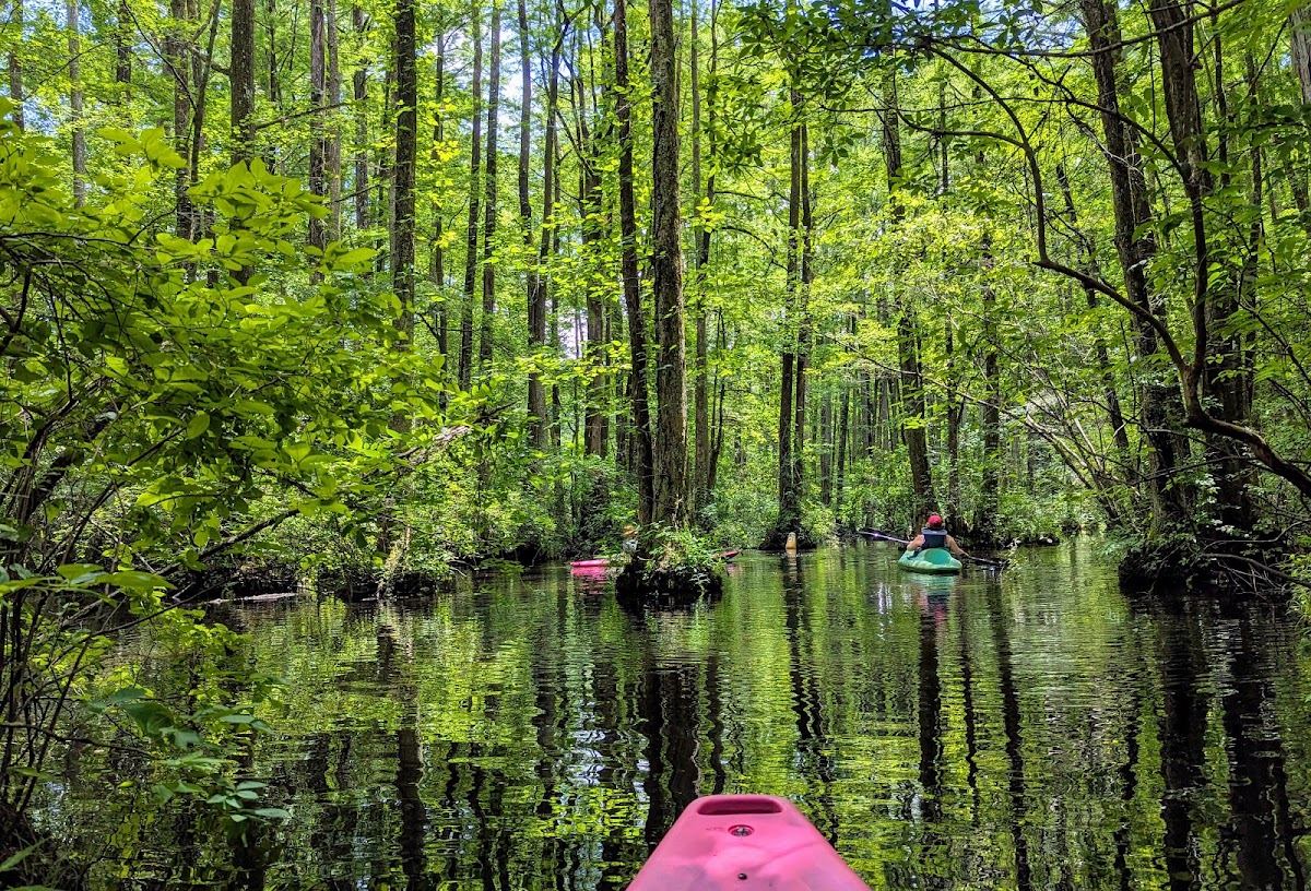 Robertson Millpond Preserve