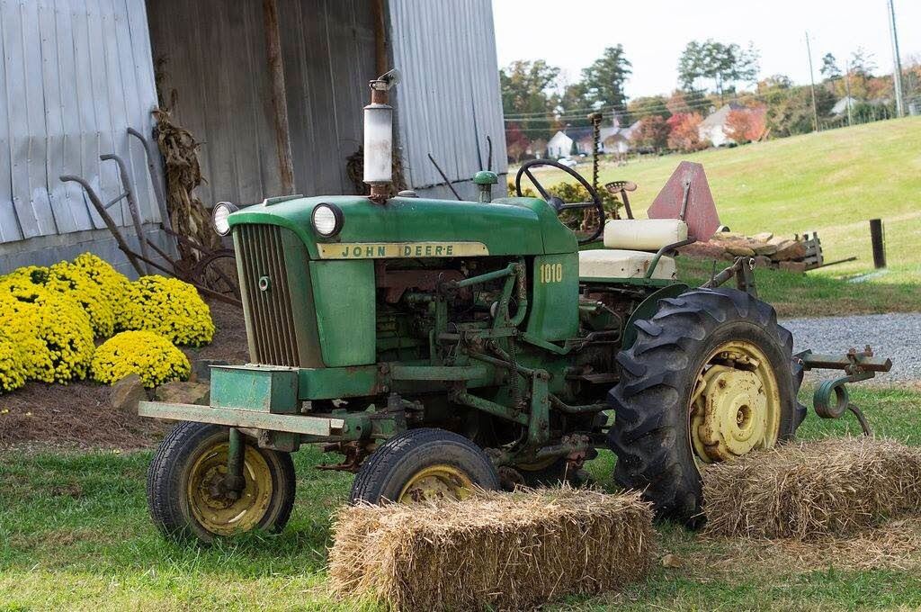 The Family Farm on Avent Ferry