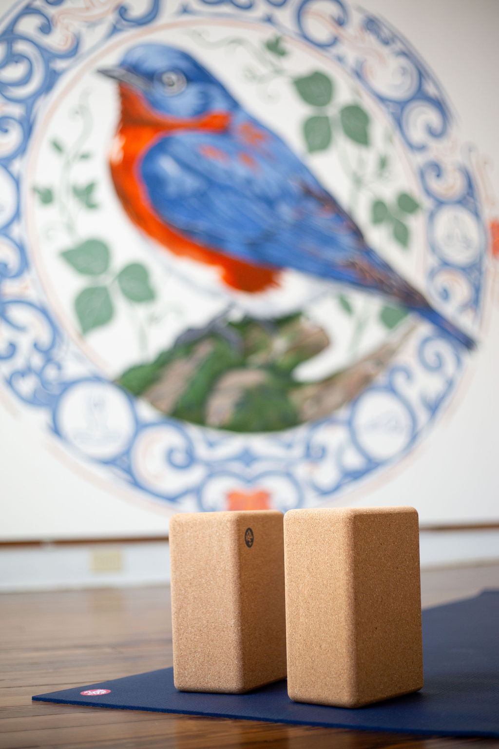 Bluebird Yoga House & Wellness Studio
