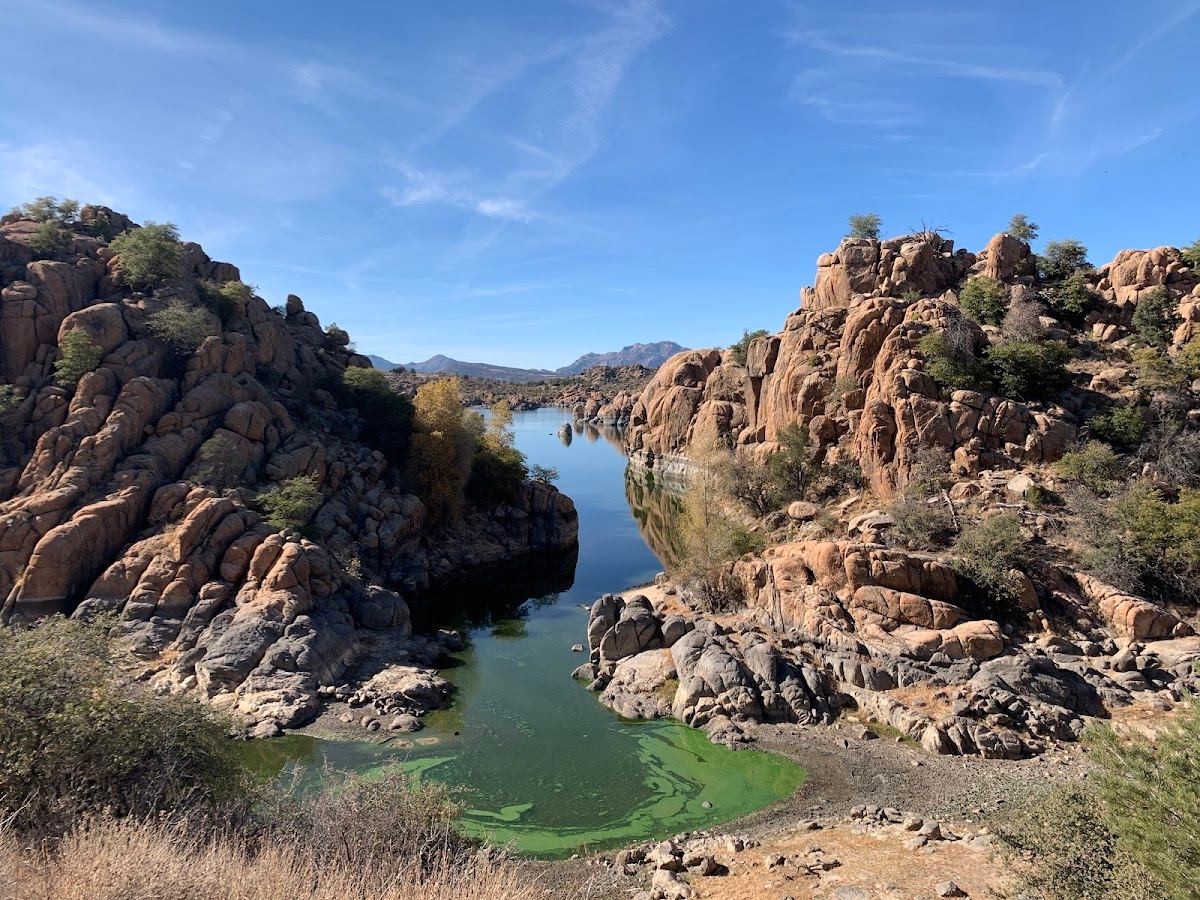 Dragon Fly Cove