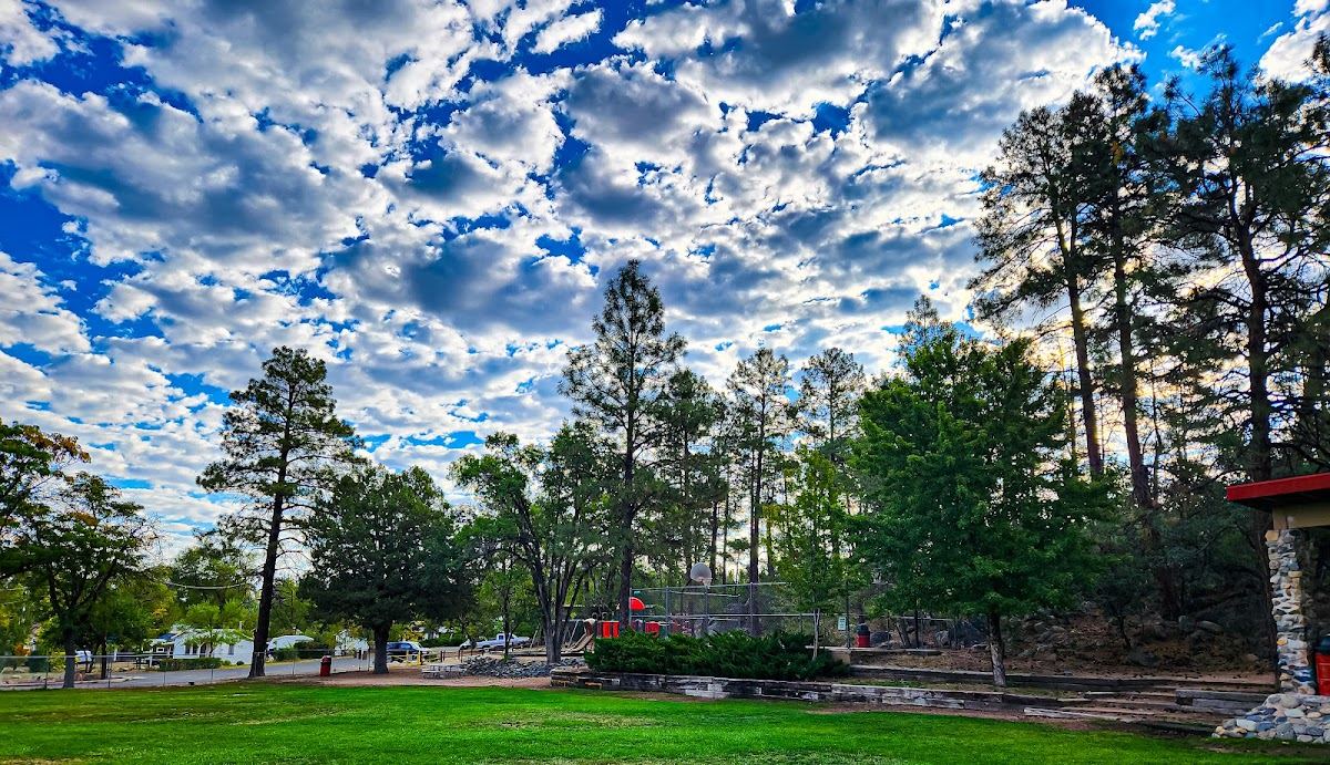 Flinn Park