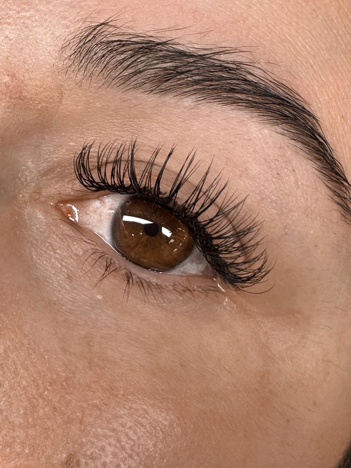 Glow and Lash Co.