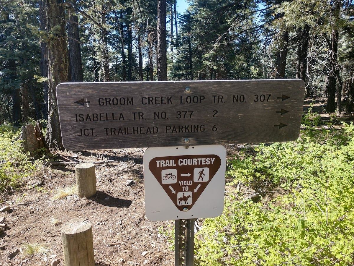Groom Creek Loop Trail #307