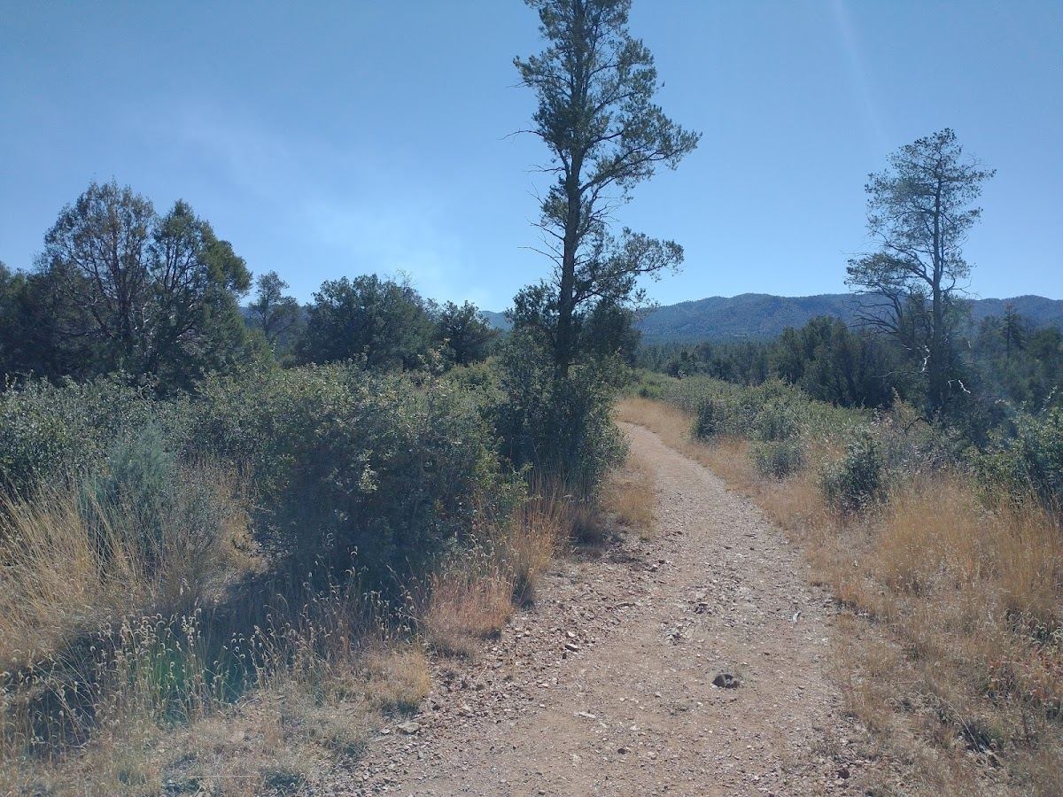 Lynx Creek Ruin Trailhead