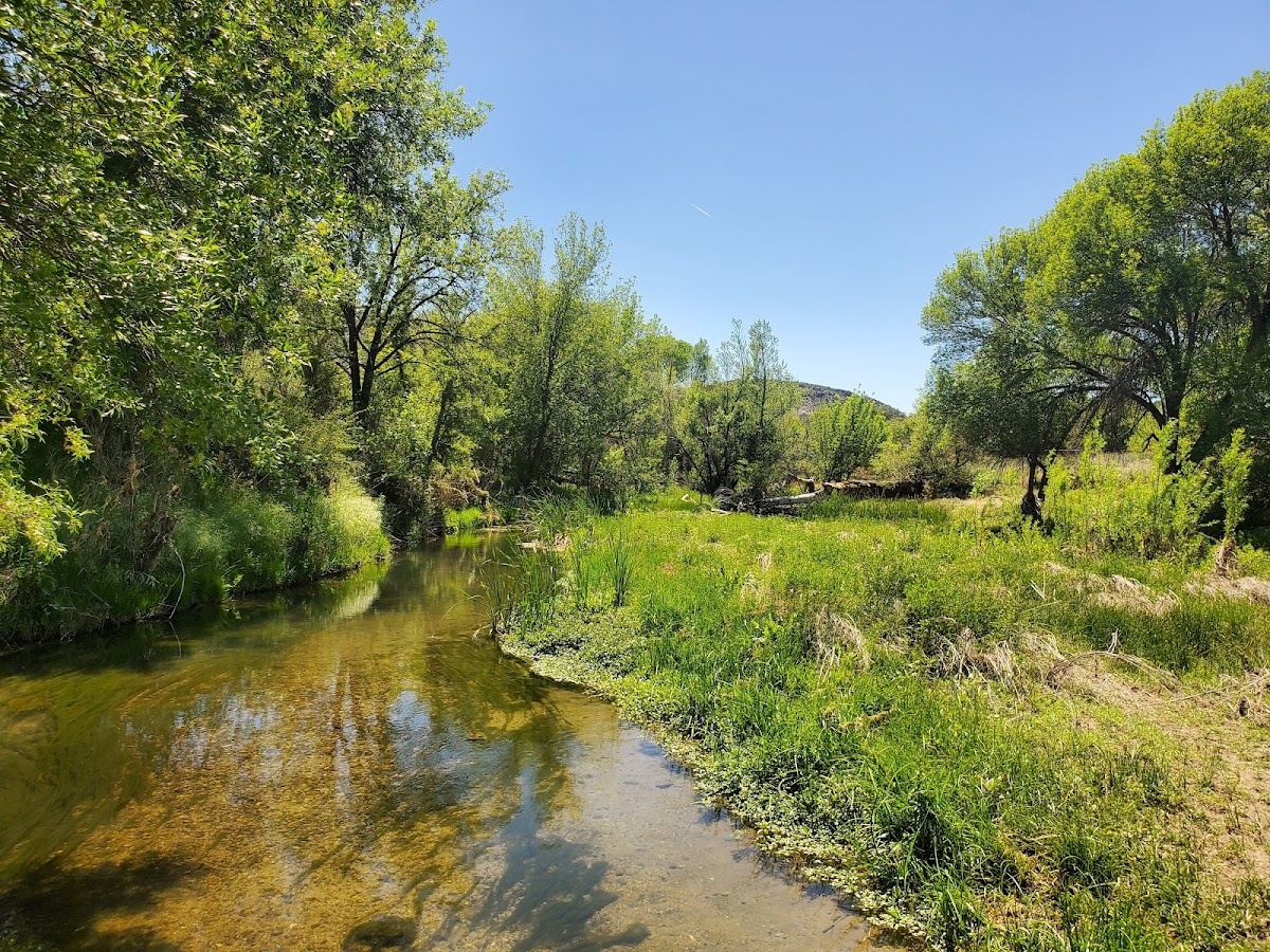 Upper Verde River Wildlife Area