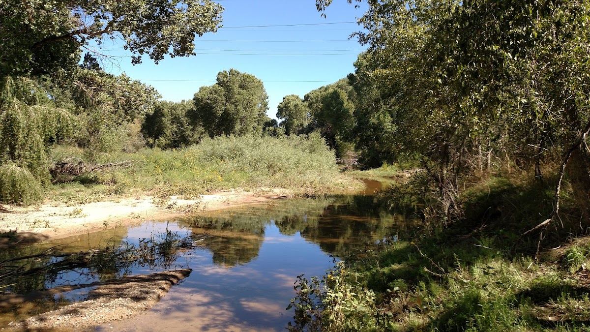 Watson Woods Riparian Preserve