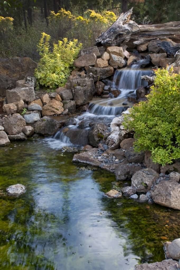 ZebraScapes Landscaping & Services