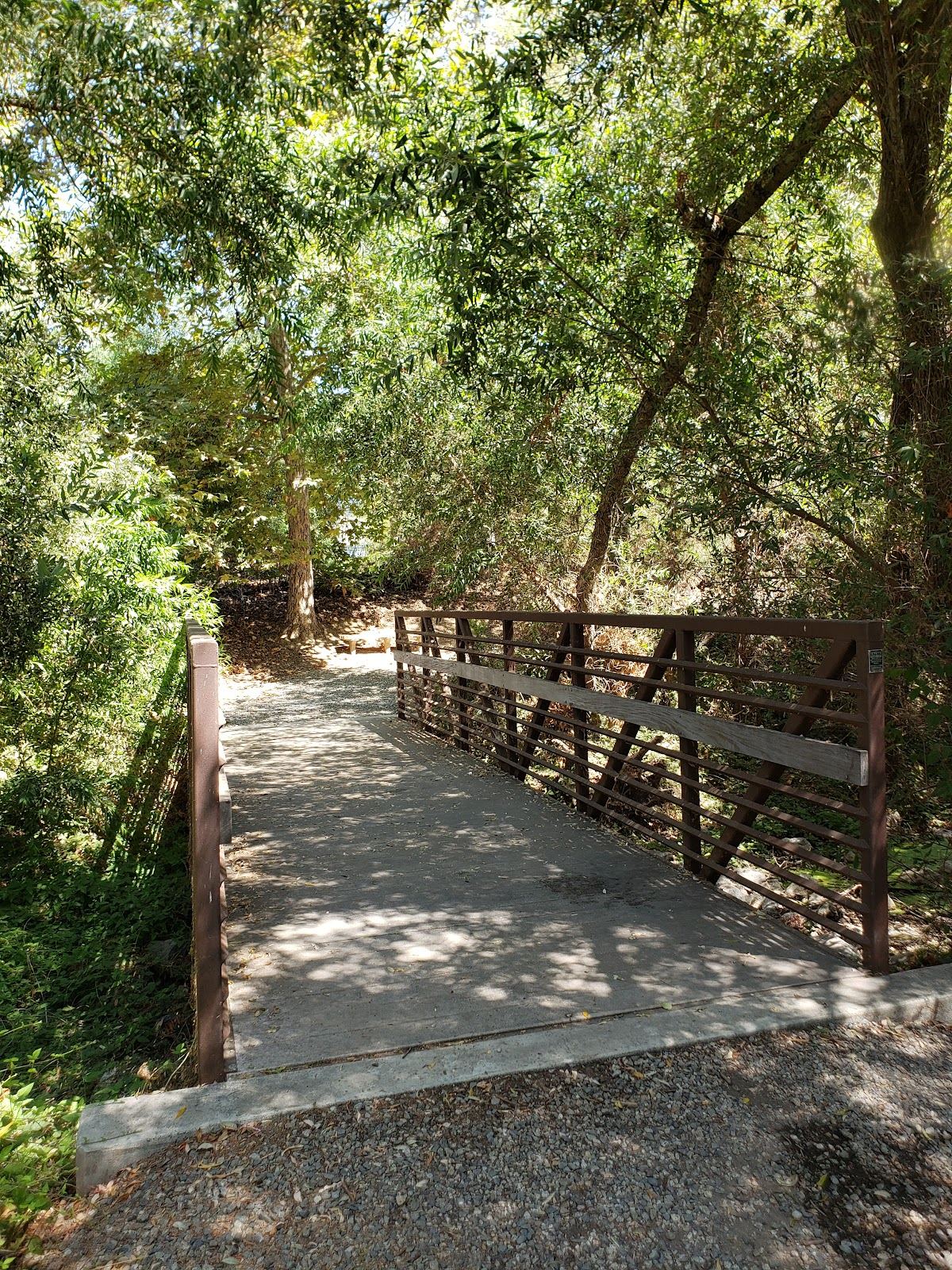 Chino Creek Wetlands and Educational Park