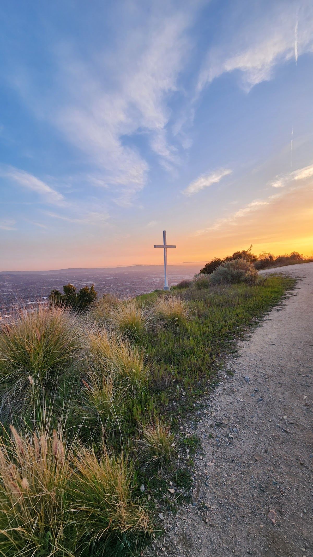 The Cross