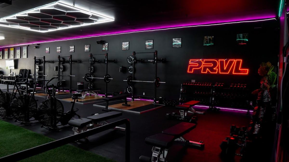 Prevail Bootcamp
