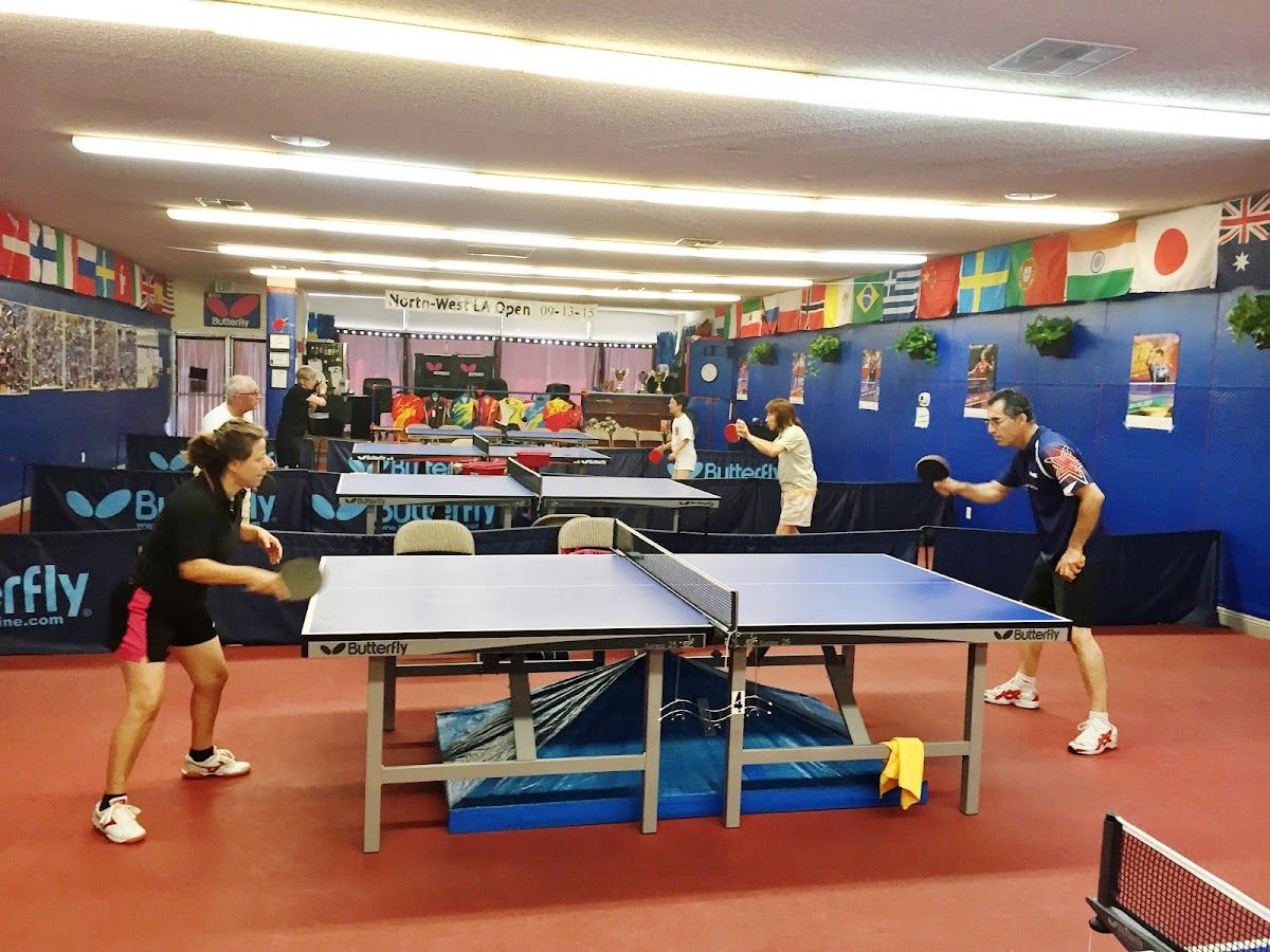 Allen & Sons Table Tennis Club