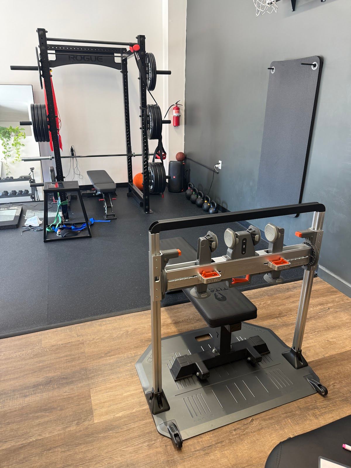 The Movement Clinic: Physical Therapy and Performance