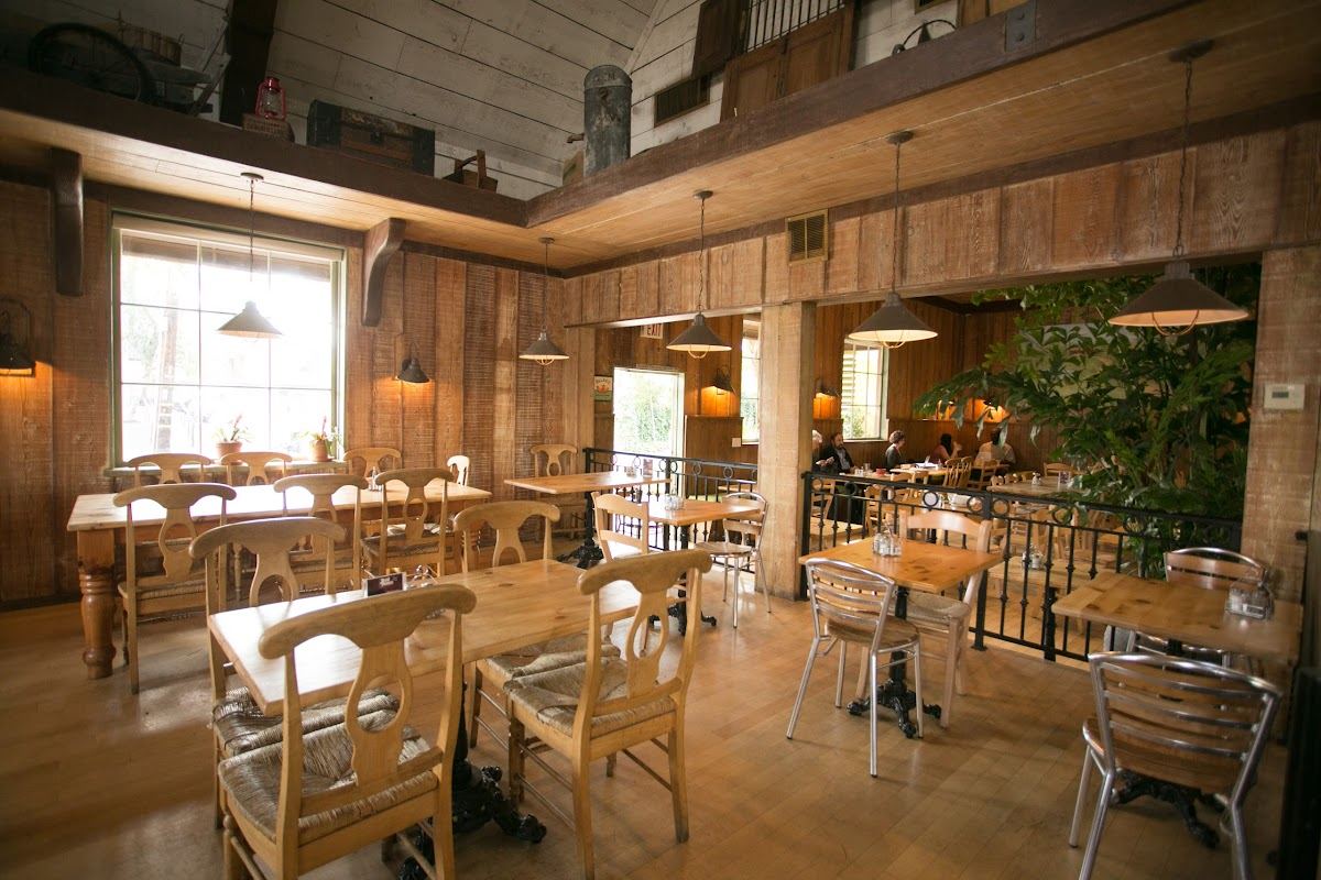Coral Tree Cafe