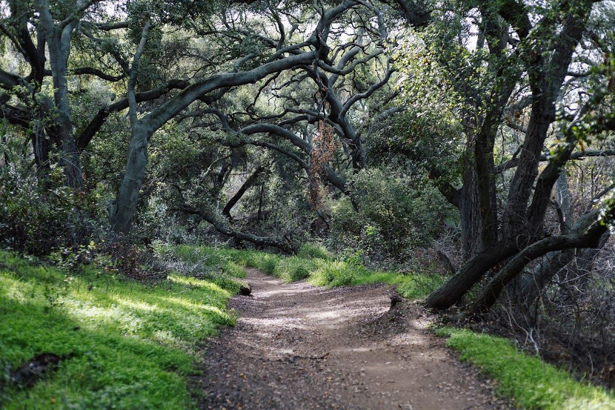 Marshall Canyon Trail