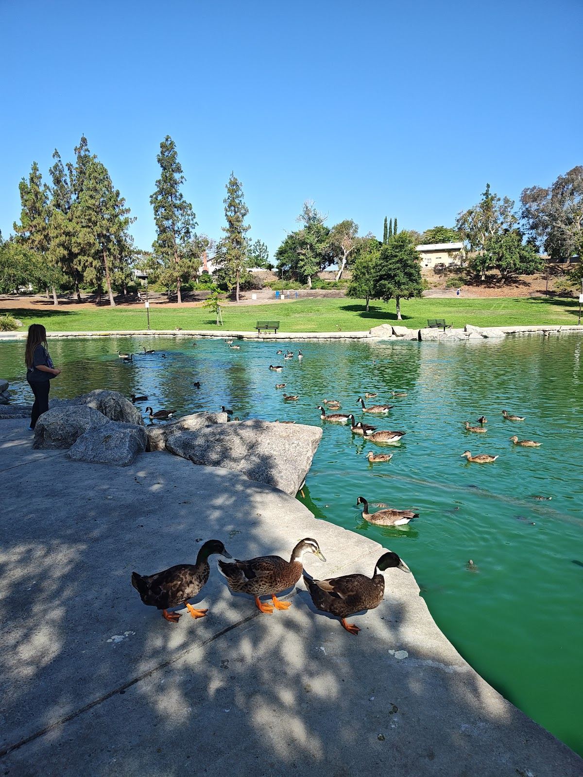 Red Hill Park