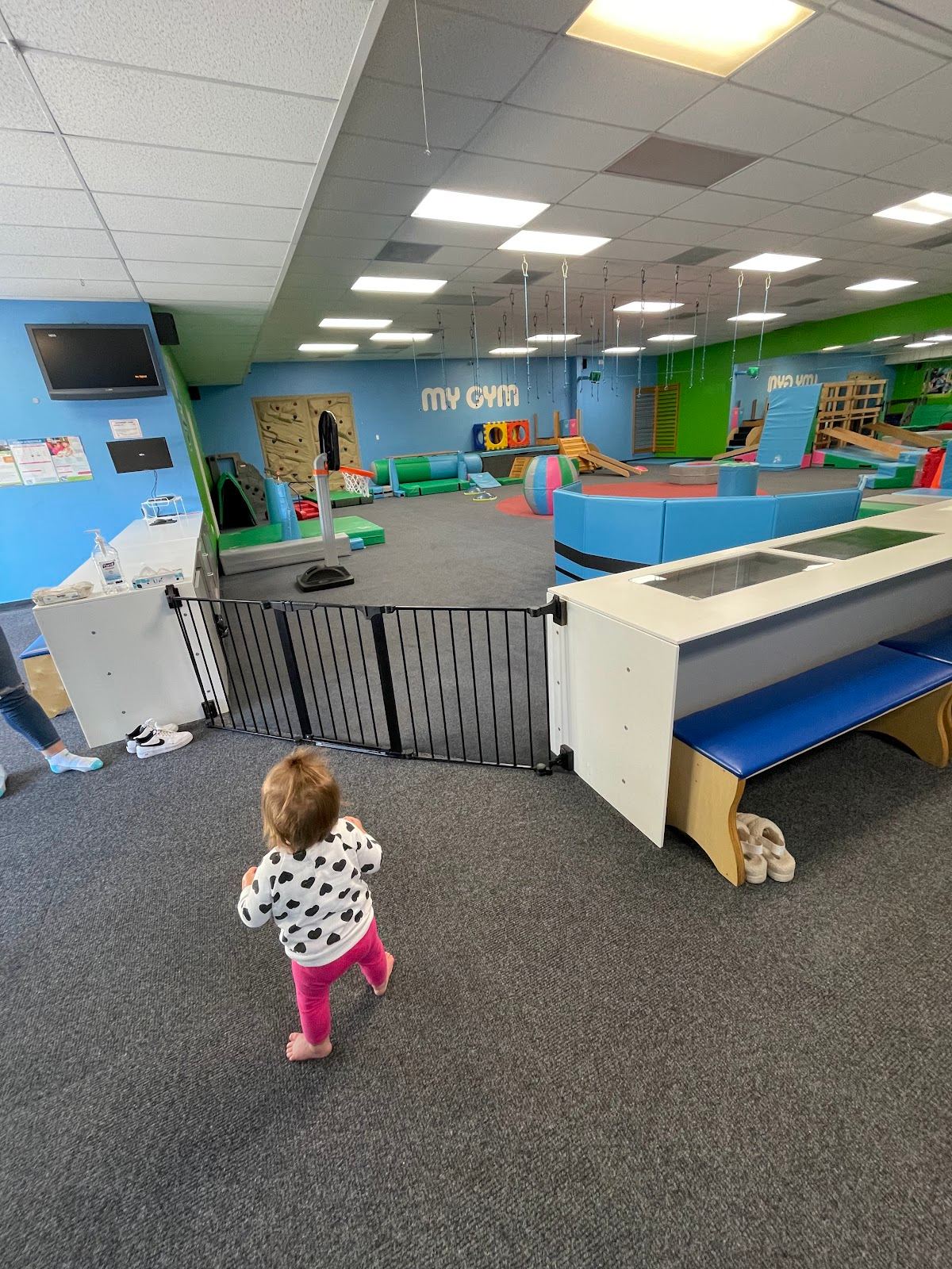 My Gym Childrens Fitness Center