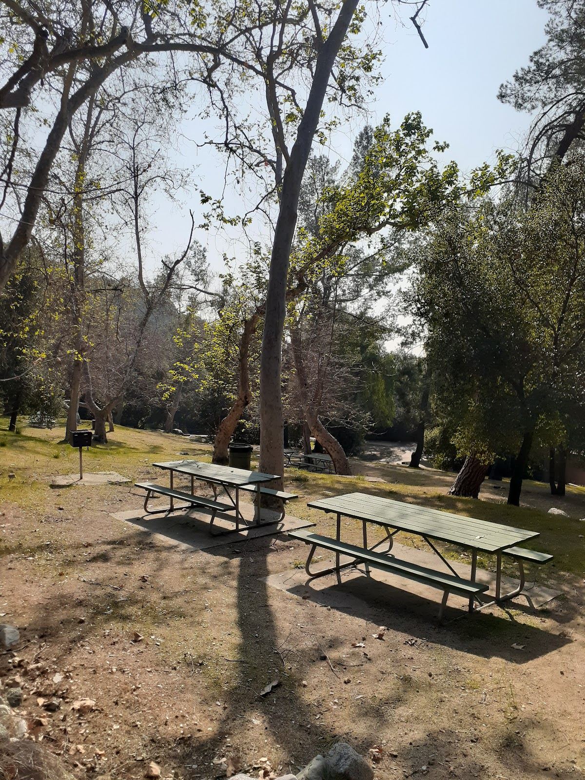 Wilderness Park