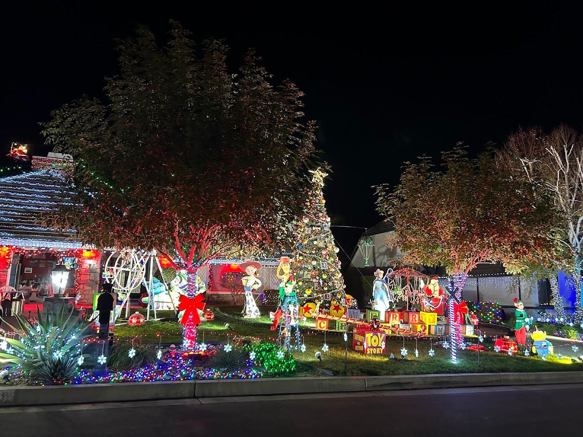 Thoroughbred Christmas Lights